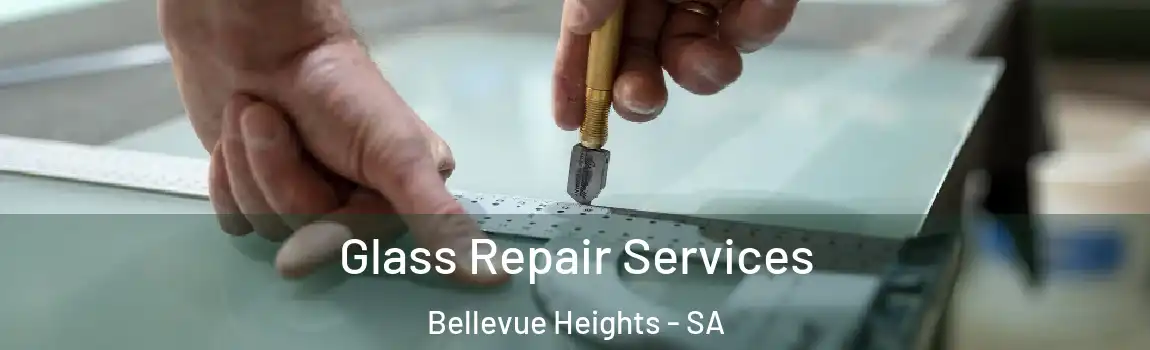Glass Repair Services Bellevue Heights - SA