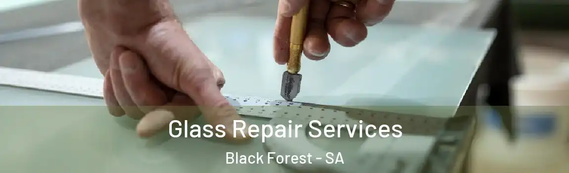 Glass Repair Services Black Forest - SA