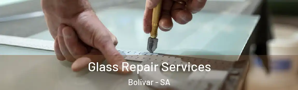 Glass Repair Services Bolivar - SA