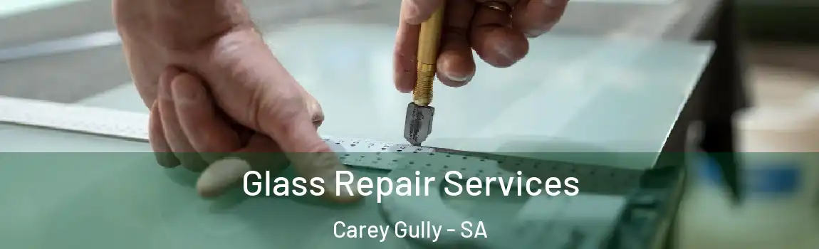 Glass Repair Services Carey Gully - SA