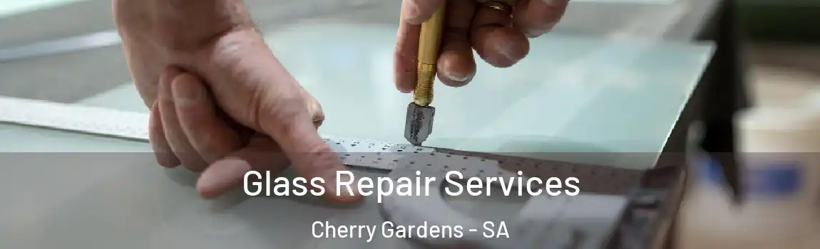 Glass Repair Services Cherry Gardens - SA