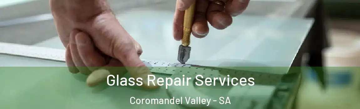 Glass Repair Services Coromandel Valley - SA