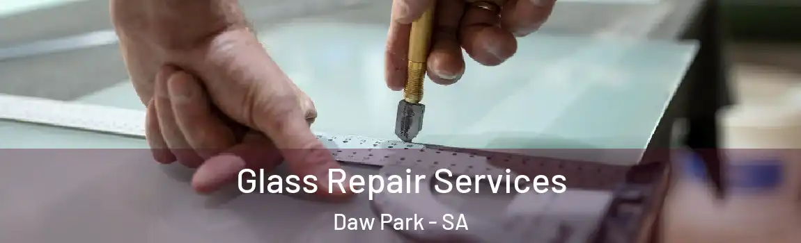 Glass Repair Services Daw Park - SA