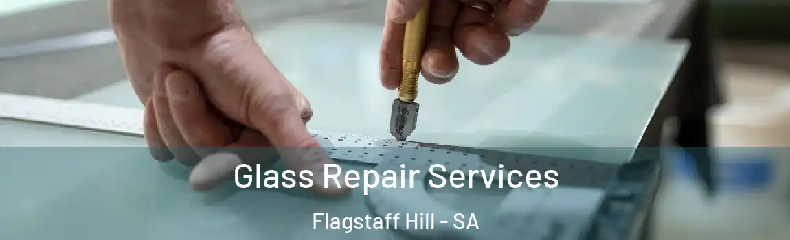 Glass Repair Services Flagstaff Hill - SA