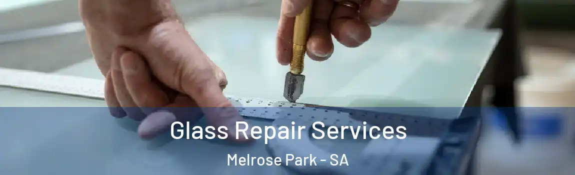  Glass Repair Services Melrose Park - SA