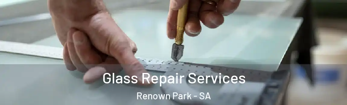 Glass Repair Services Renown Park - SA