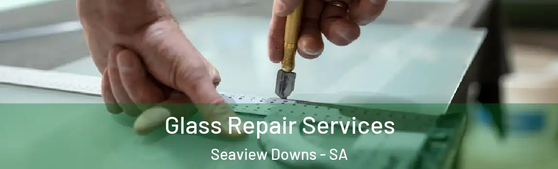 Glass Repair Services Seaview Downs - SA