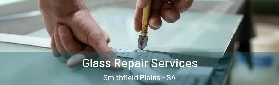 Glass Repair Services Smithfield Plains - SA