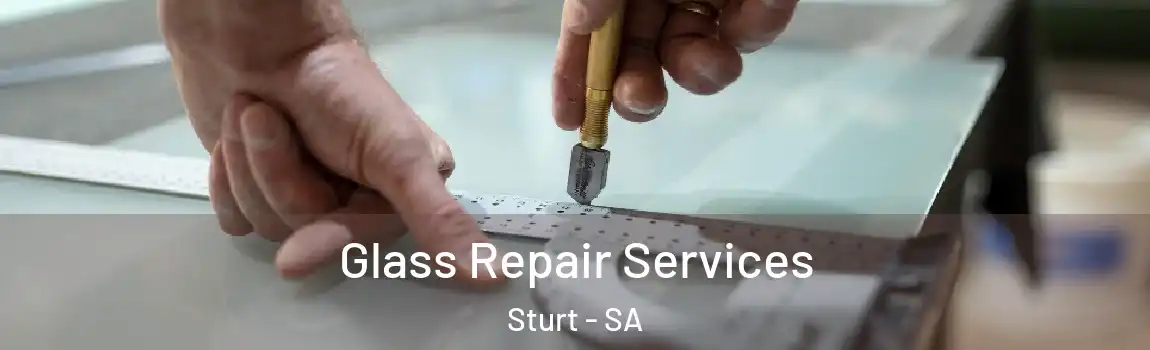 Glass Repair Services Sturt - SA