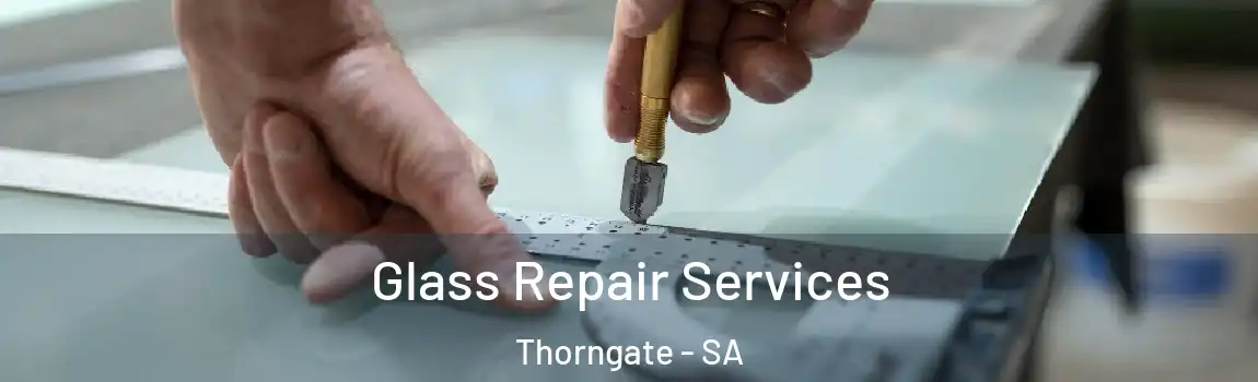  Glass Repair Services Thorngate - SA