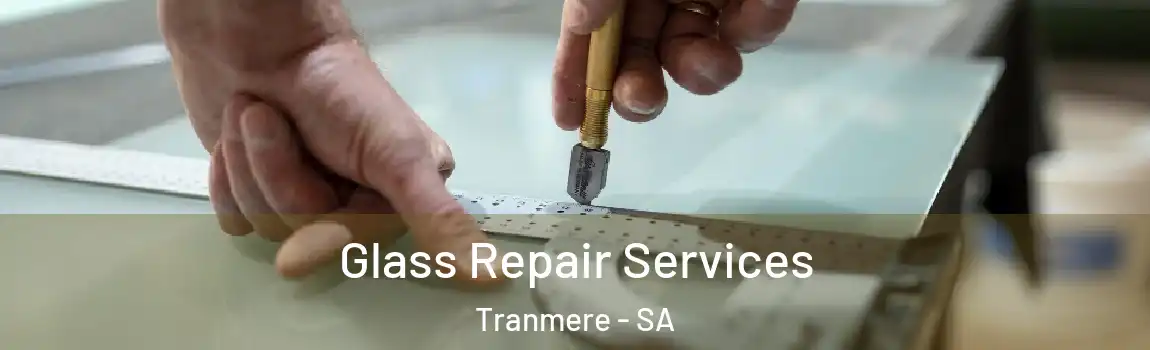  Glass Repair Services Tranmere - SA