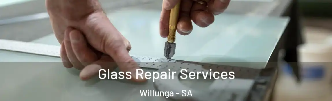  Glass Repair Services Willunga - SA