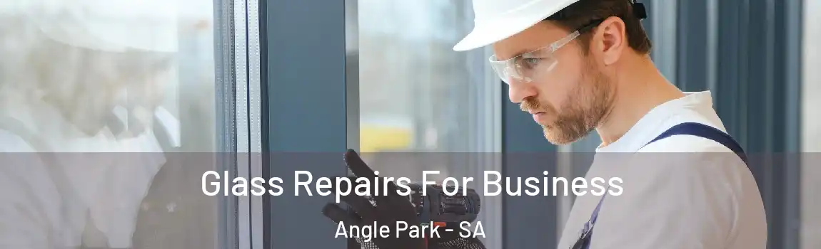 Glass Repairs For Business Angle Park - SA