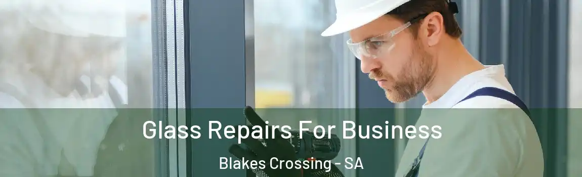  Glass Repairs For Business Blakes Crossing - SA