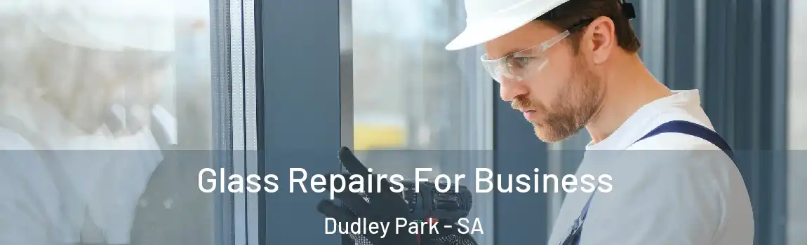 Glass Repairs For Business Dudley Park - SA