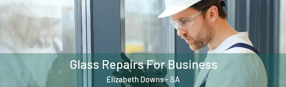  Glass Repairs For Business Elizabeth Downs - SA