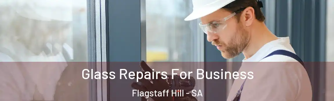 Glass Repairs For Business Flagstaff Hill - SA