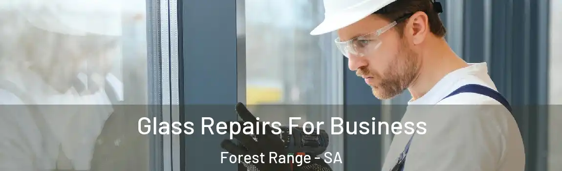 Glass Repairs For Business Forest Range - SA