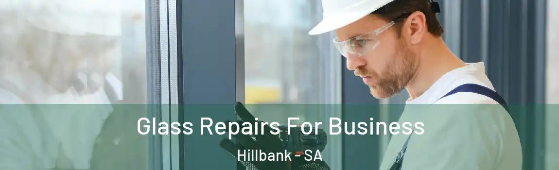 Glass Repairs For Business Hillbank - SA