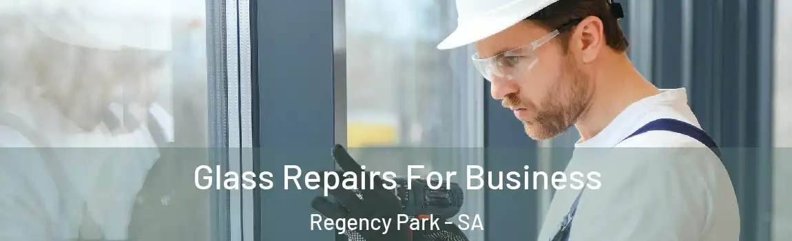  Glass Repairs For Business Regency Park - SA