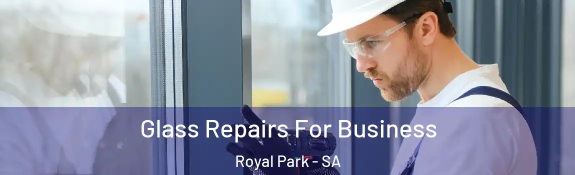 Glass Repairs For Business Royal Park - SA