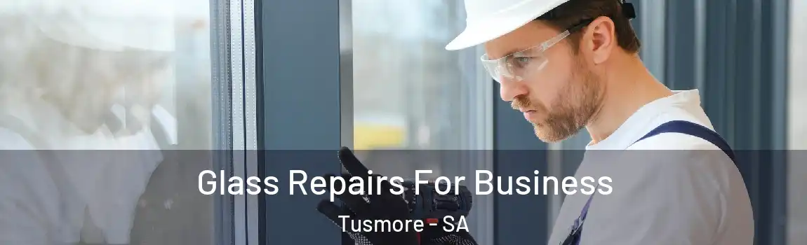  Glass Repairs For Business Tusmore - SA