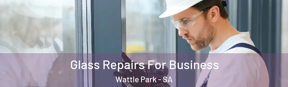 Glass Repairs For Business Wattle Park - SA