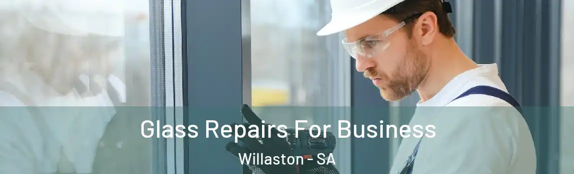 Glass Repairs For Business Willaston - SA