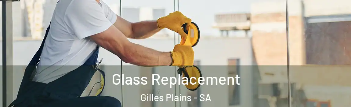 Glass Replacement Gilles Plains - SA