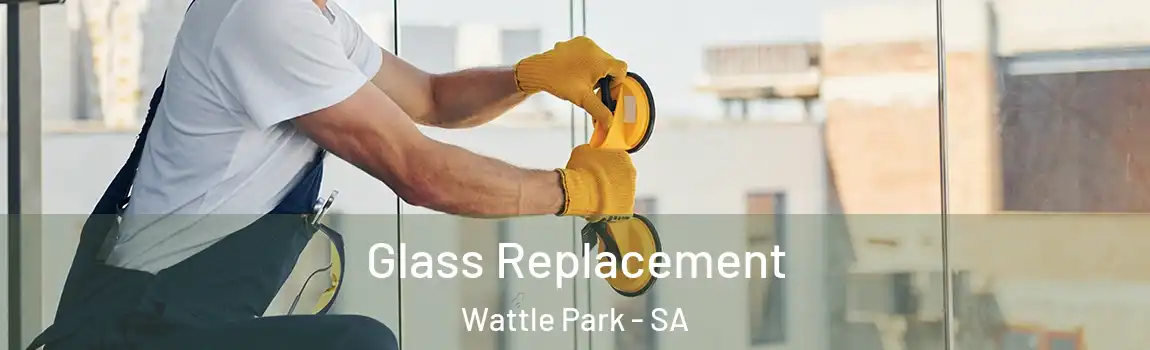  Glass Replacement Wattle Park - SA