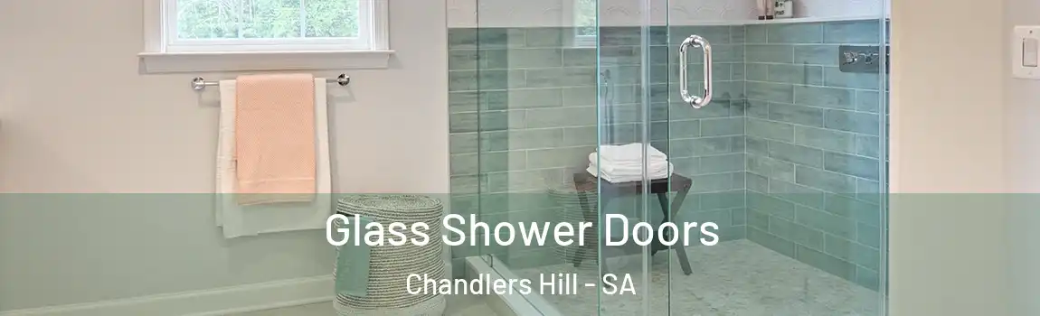  Glass Shower Doors Chandlers Hill - SA