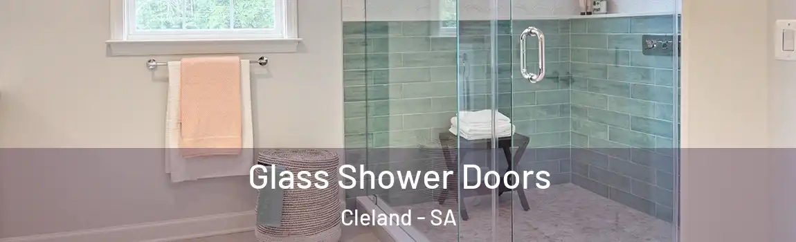 Glass Shower Doors Cleland - SA