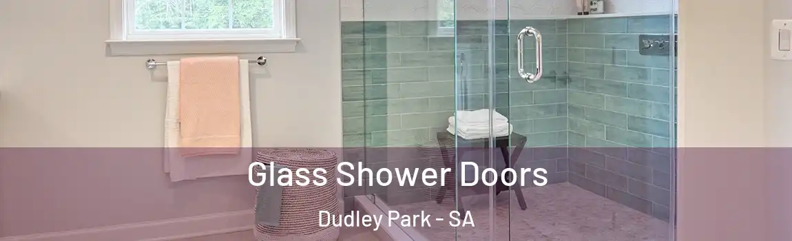  Glass Shower Doors Dudley Park - SA