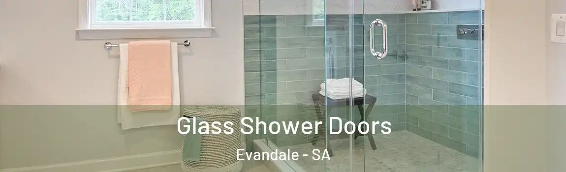  Glass Shower Doors Evandale - SA