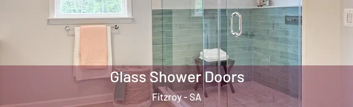 Glass Shower Doors Fitzroy - SA