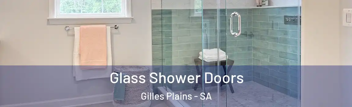 Glass Shower Doors Gilles Plains - SA