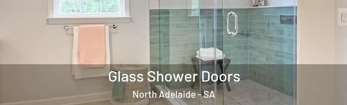  Glass Shower Doors North Adelaide - SA