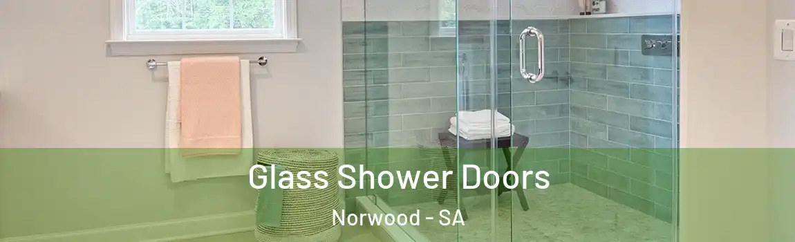 Glass Shower Doors Norwood - SA