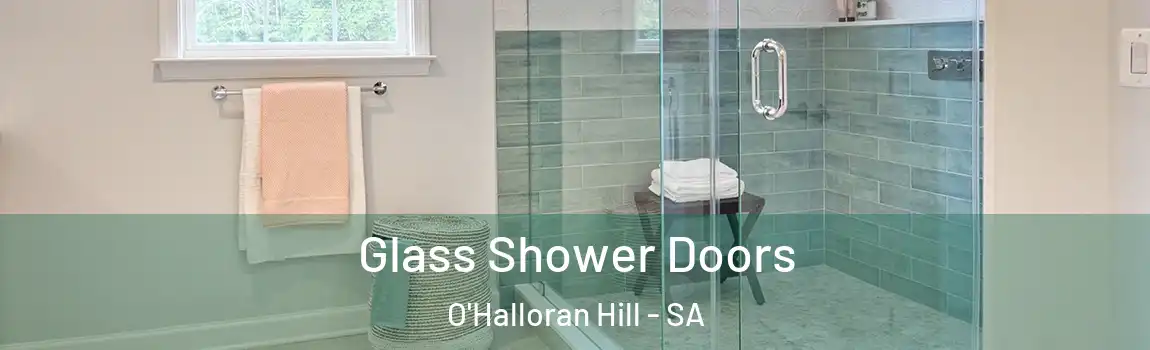 Glass Shower Doors O'Halloran Hill - SA