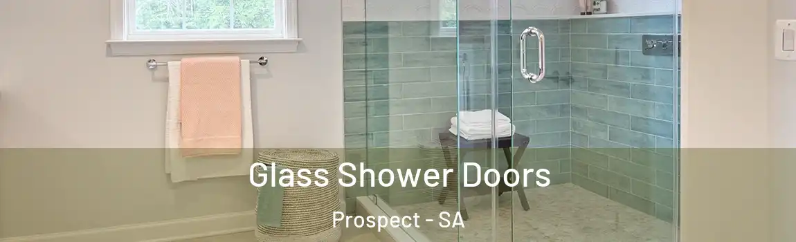 Glass Shower Doors Prospect - SA