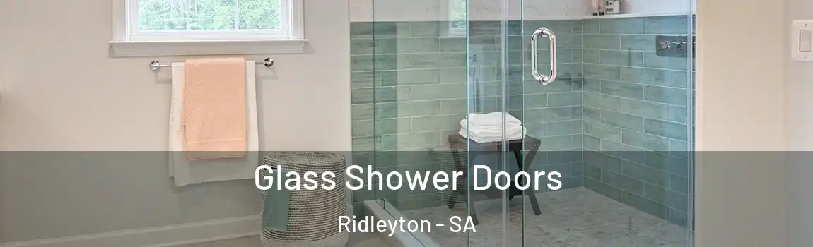  Glass Shower Doors Ridleyton - SA