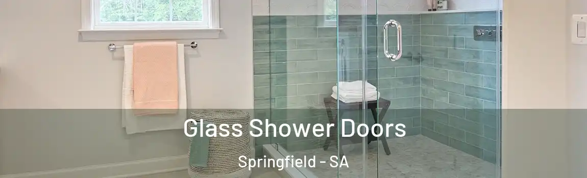 Glass Shower Doors Springfield - SA