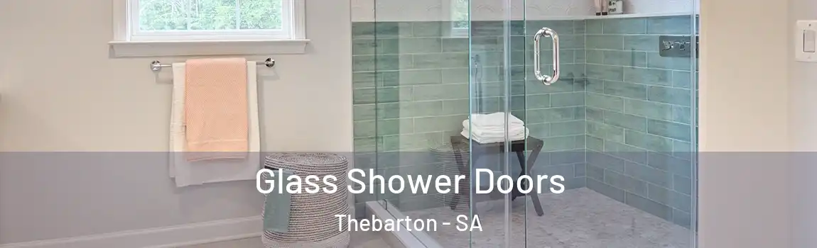 Glass Shower Doors Thebarton - SA