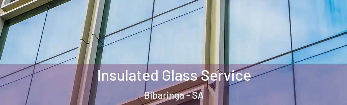 Insulated Glass Service Bibaringa - SA