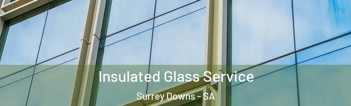 Insulated Glass Service Surrey Downs - SA
