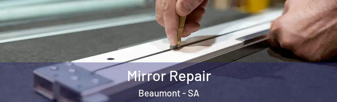 Mirror Repair Beaumont - SA