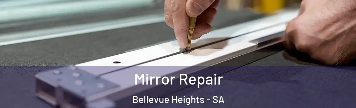 Mirror Repair Bellevue Heights - SA