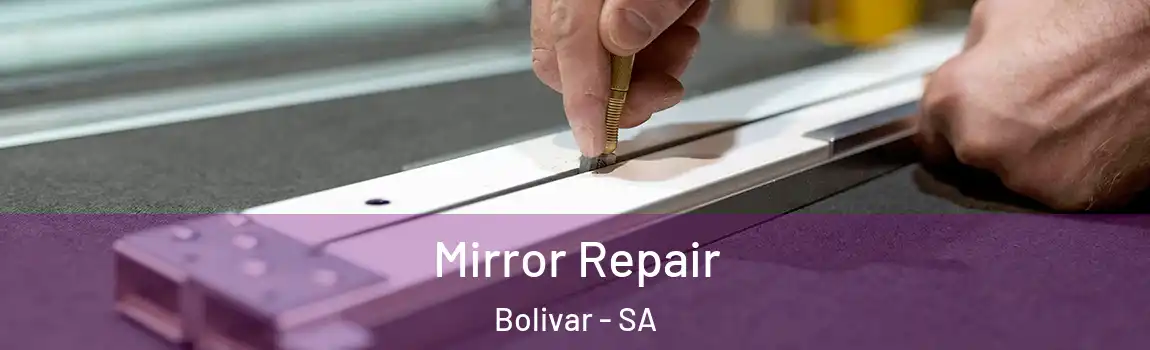  Mirror Repair Bolivar - SA