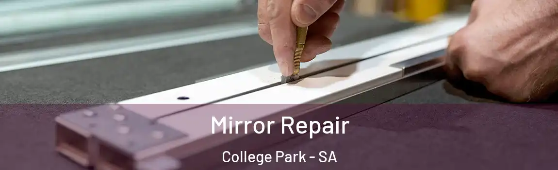 Mirror Repair College Park - SA