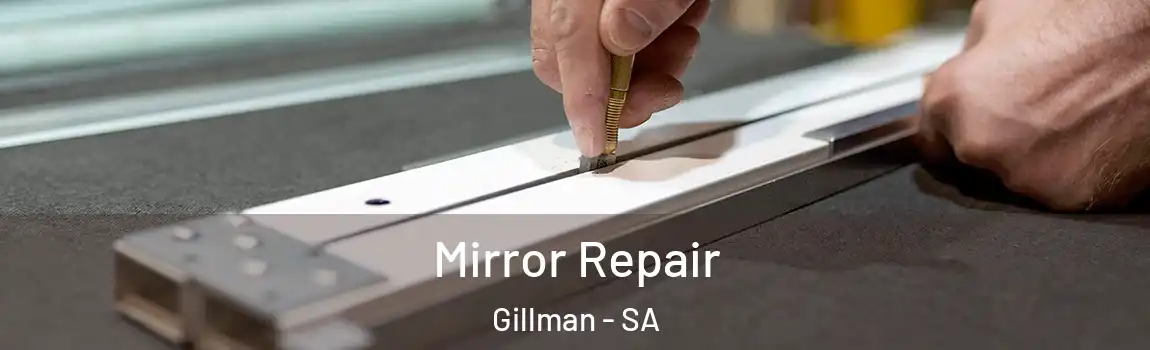  Mirror Repair Gillman - SA